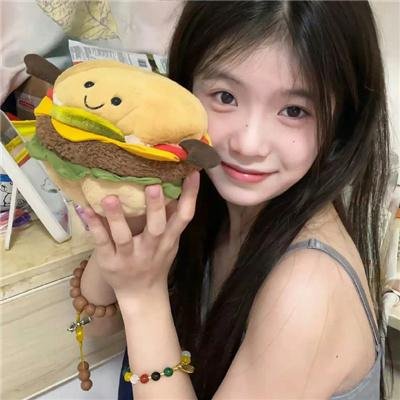 我私人的爱达荷